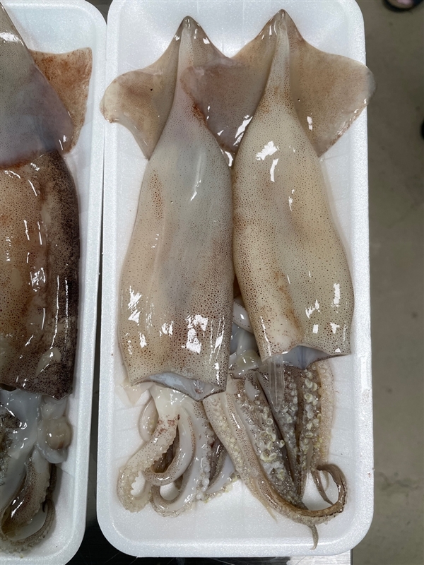 KakaoTalk_20230802_181357501_12.jpg
