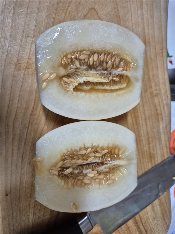 설향메론3.jpg